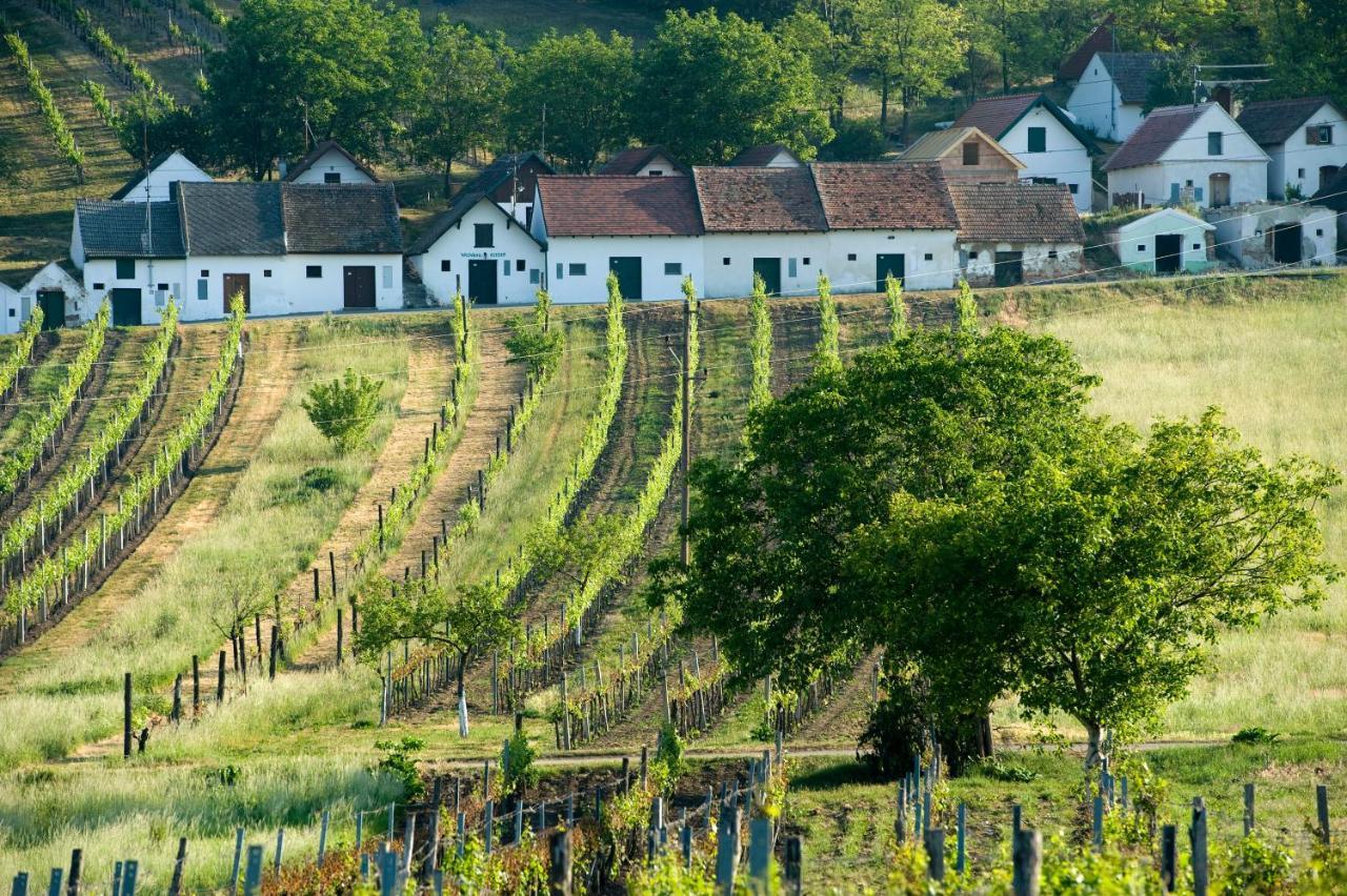 Weinhotel Rieder Poysdorf Eksteriør billede